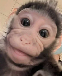 🙂