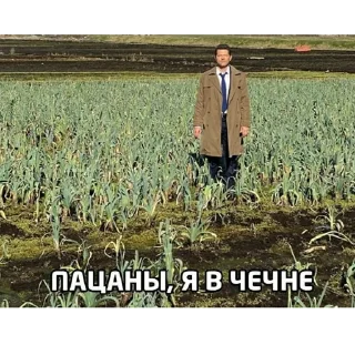 👍