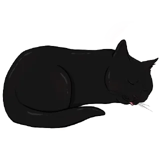 🐱
