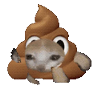 💩