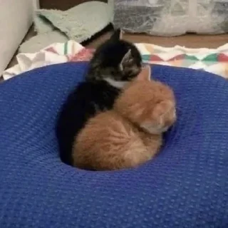 🤗