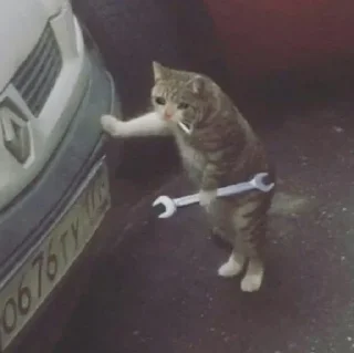 🥺