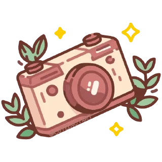 📸