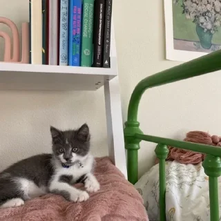 🛌