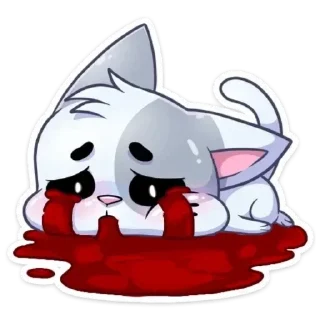 😿