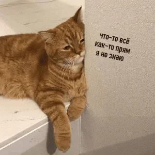 🙁