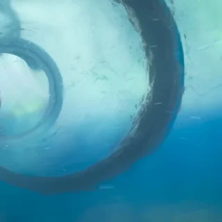 🏊