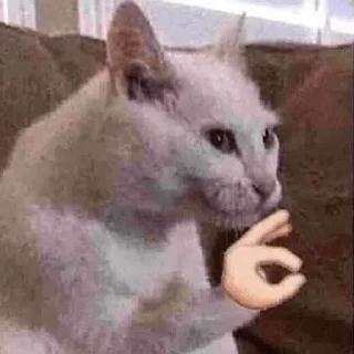 👌