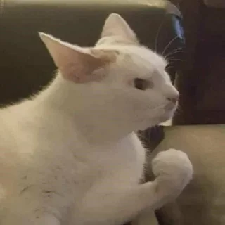 👊