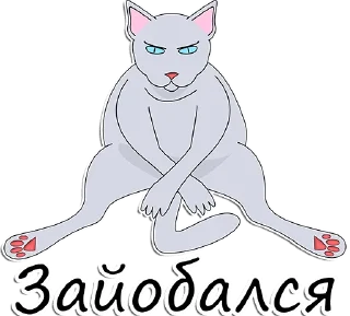 😾