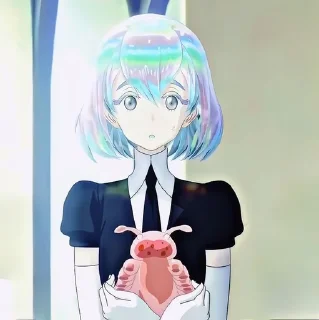 🌟