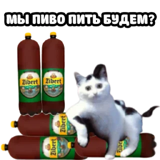 🍺