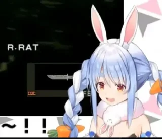 🐀