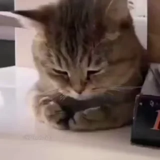 🥹