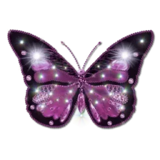 Butterflies @stickersb2b