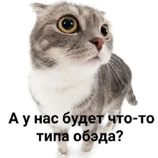 🥺
