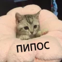 😥