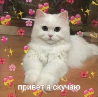 💝