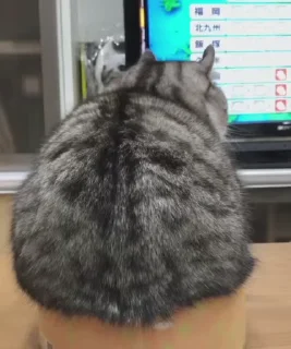 😱