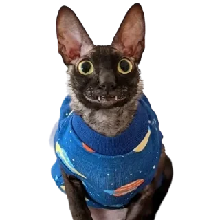 👕