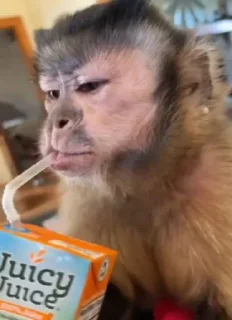 🧃