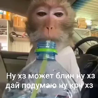 🤔