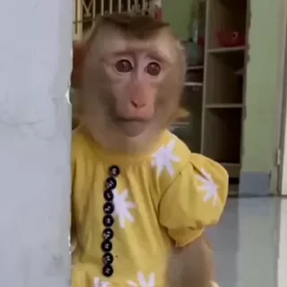 😕