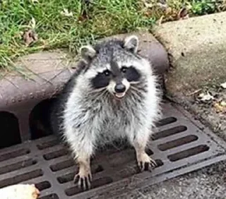 😡