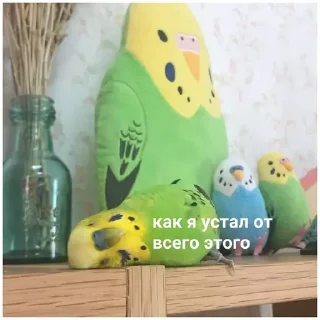 😩