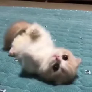 💕
