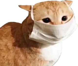 😷