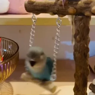 🤩