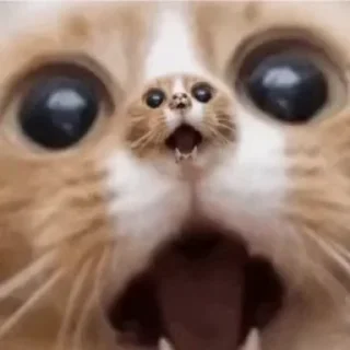 😱