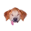 😝