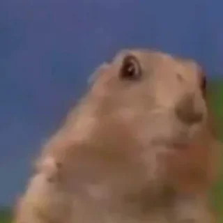 😳