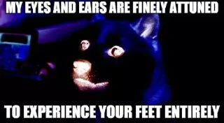 👣