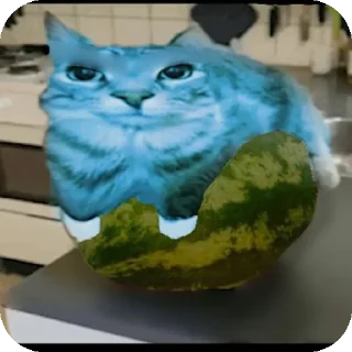🐱