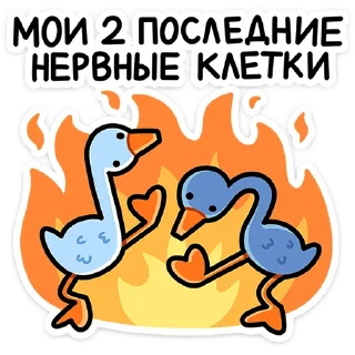 Дикие гуси :: @stickroom