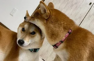 💓