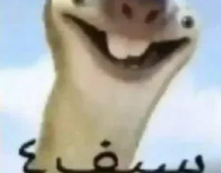 👍