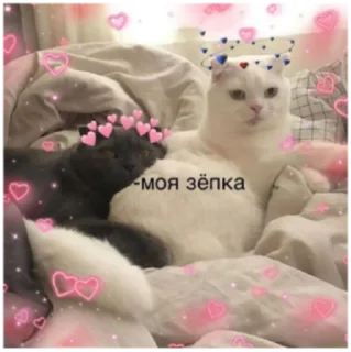 🥰