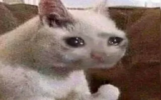 😢