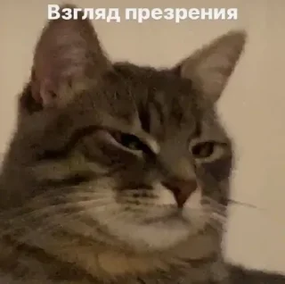 🤨