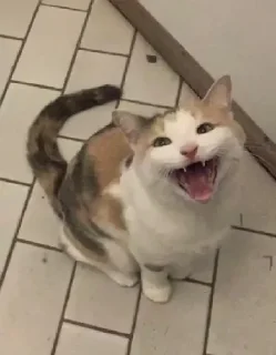 😃