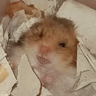 😠