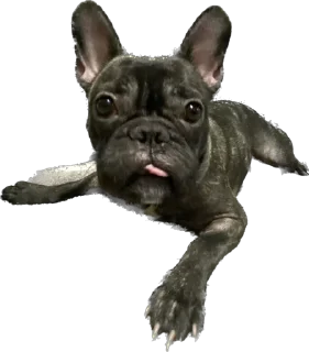 😜