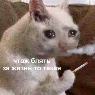 😖