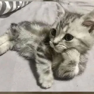 🤨