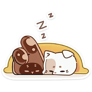 😴