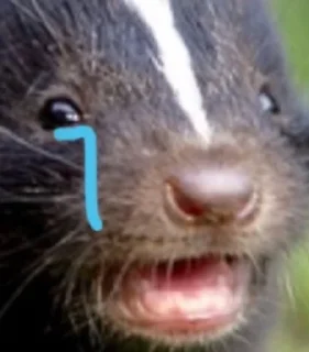 😭